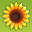 Sunshine Acres icon